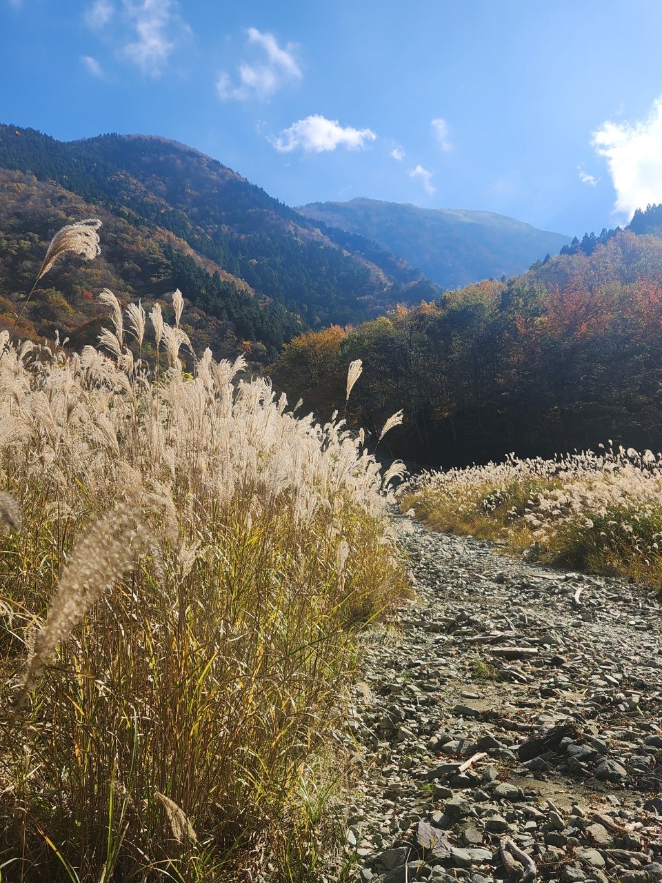 秋も登ります!!🍂